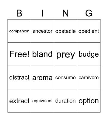 Vocabulary Bingo Card