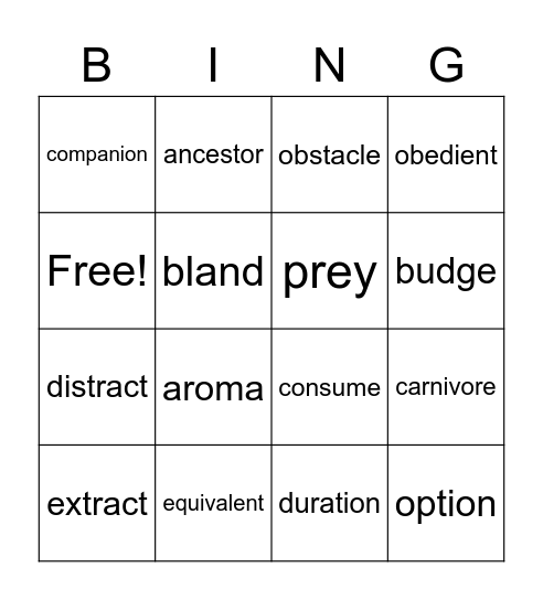 Vocabulary Bingo Card