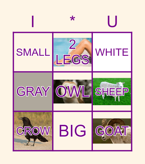 UNIT 4 Animals Bingo Card