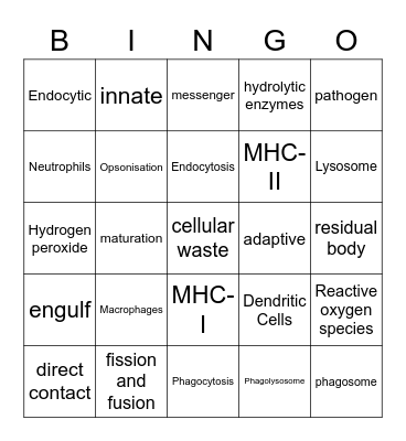 Phagocytosis PBL Bingo Card