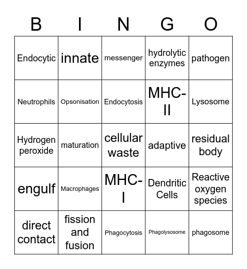 Phagocytosis PBL Bingo Card