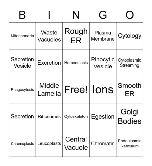 Module 6 Bingo Card