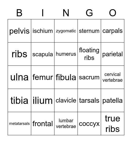 Skeletal System Bingo Card