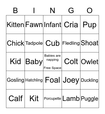 Baby Animal Bingo! Bingo Card