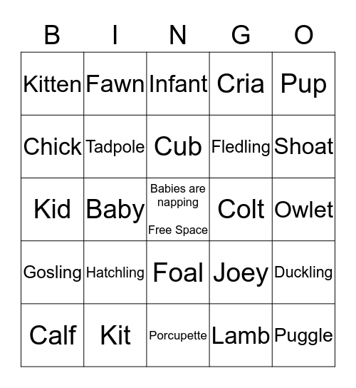 Baby Animal Bingo! Bingo Card