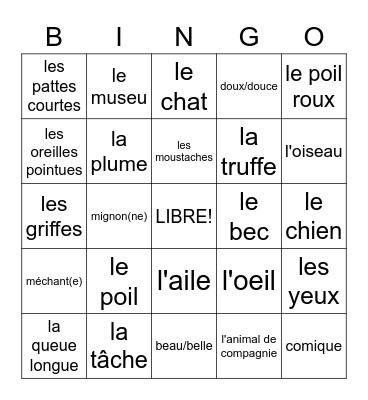 Description physique (animal) Bingo Card