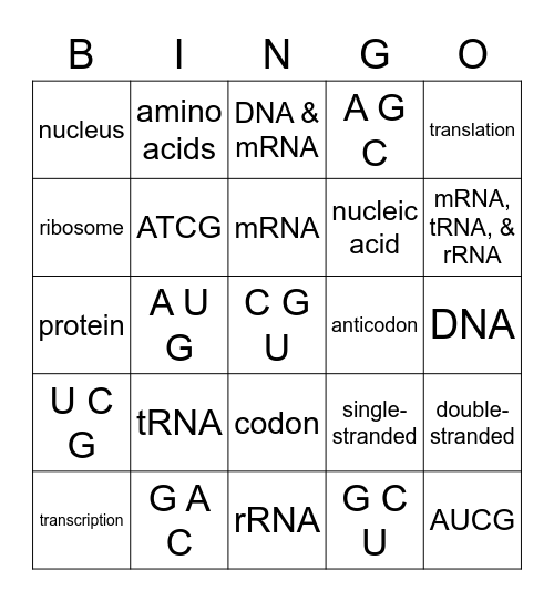 Protein Synthesis Process Bingo Card