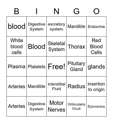 chapter 2 Bingo Card