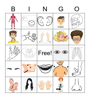 The Human Body Bingo Card