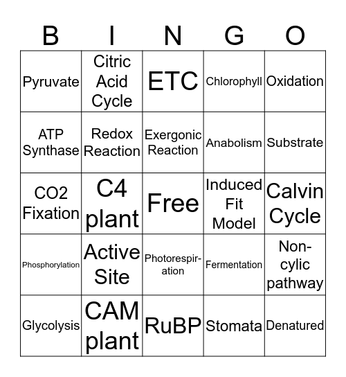 Cellular Energy Bingo Card
