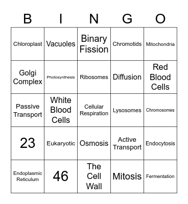 Cells Bingo Card