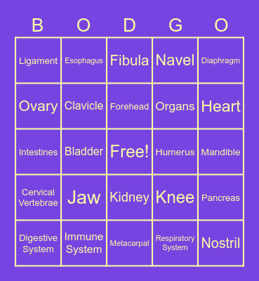 Bodgo Bingo Card