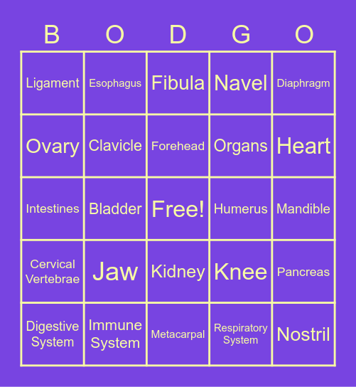 Bodgo Bingo Card