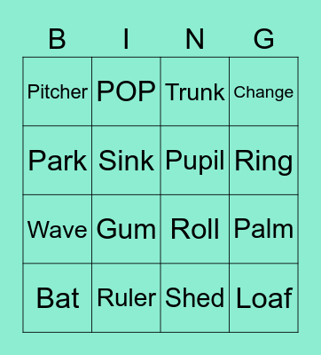 Multiple Meaning Words Bingo Card