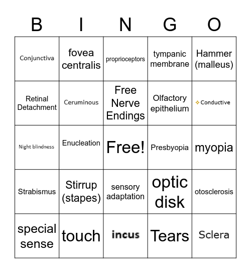 Sensory Bingo Card