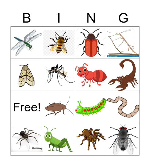 bugs-insects-bingo-card