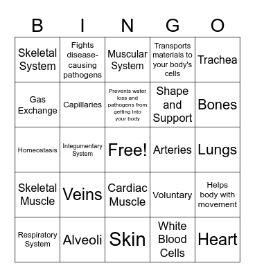 Test 2.2: Body Systems Bingo Card