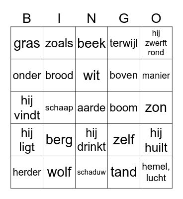 Woorden Cap. IX Bingo Card