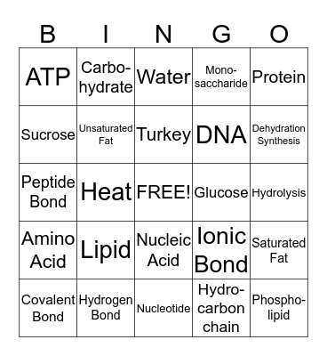 Macromolecules Bingo Card