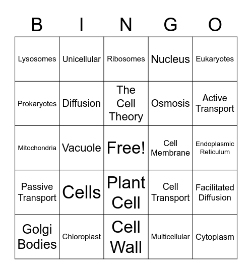 Cells, Cell Organelles, and Cell Transport Bingo Card