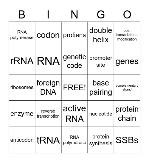 Transcription Bingo Card