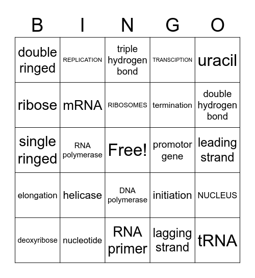 DNA/RNA Bingo Card