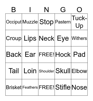 Parts of a Dog Bingo Card