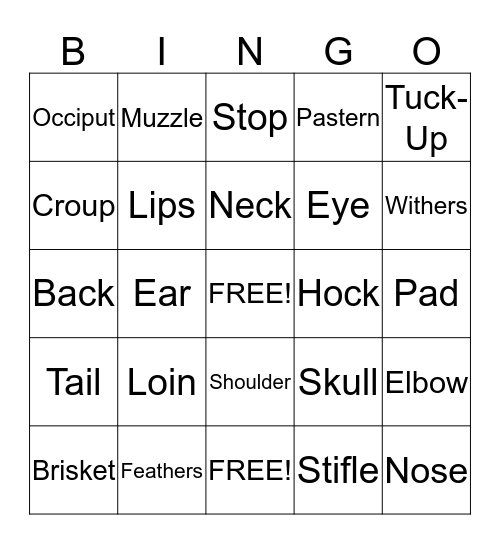 Parts of a Dog Bingo Card