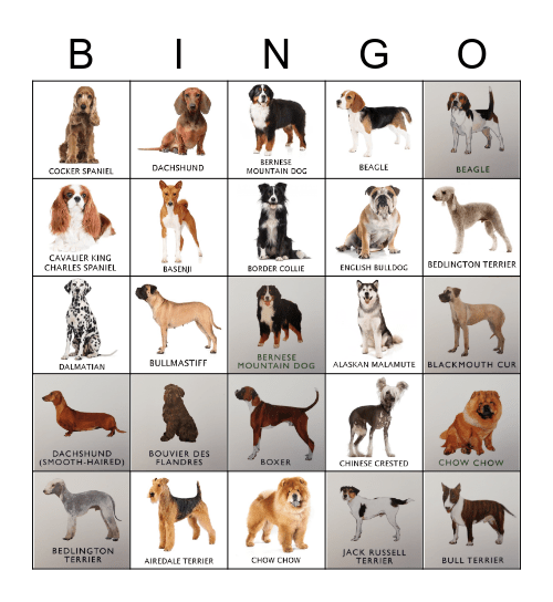 DOGS Bingo Card