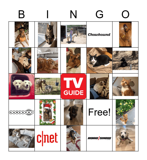 Pet Bingo! Bingo Card