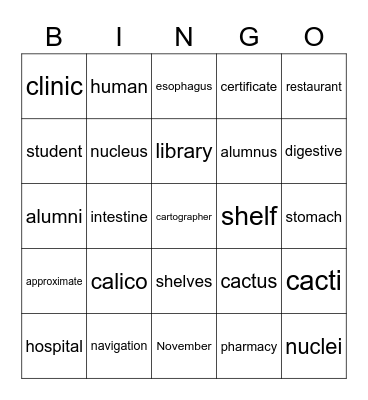 Abibi Bingo Card