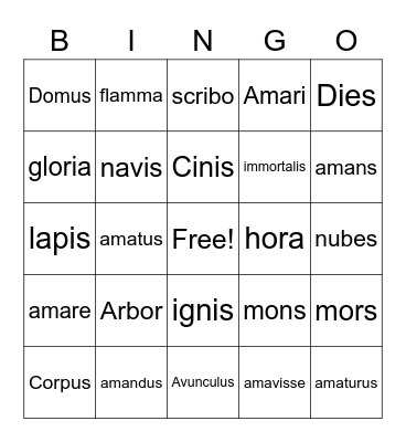 Vesuvius Vocabulary Bingo Card