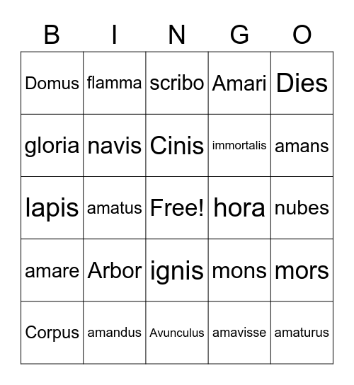 Vesuvius Vocabulary Bingo Card