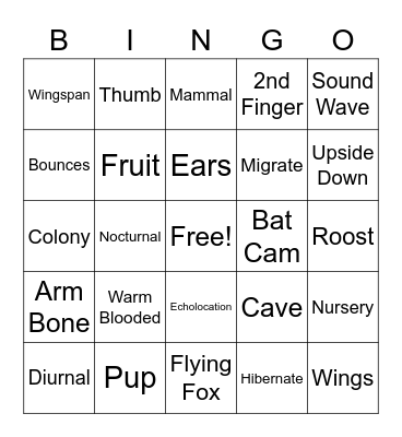 Bat Bingo Card