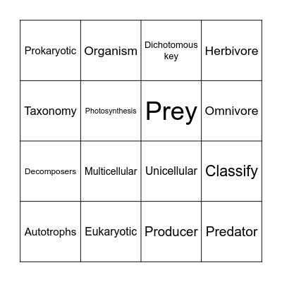 Biology Glossary Words Bingo Card