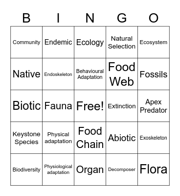 Terminology Bingo Card