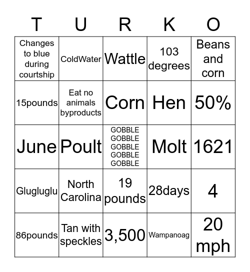 TURKO Bingo Card