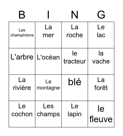 Les mots français Bingo Card
