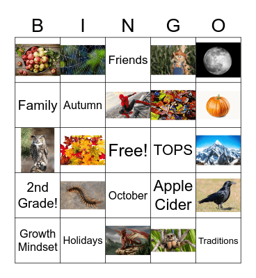 Harvest Party Bingo Card