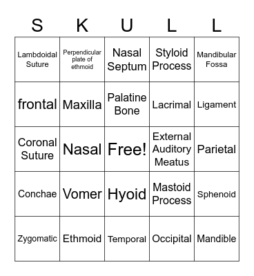 Health Occupation Bingo Card
