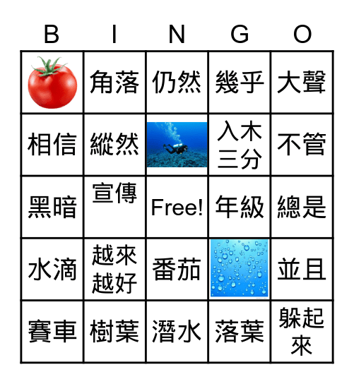 L 1 & L 2 Bingo Card