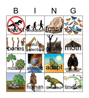 Evolution Bingo Card