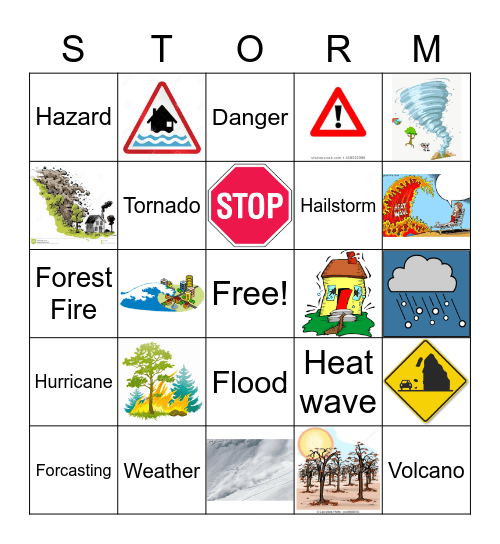 natural disasters bingo