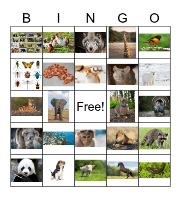 Animal Bingo Card