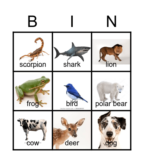 Animals Bingo Card