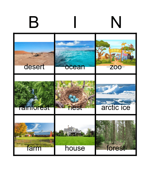 Settings Bingo Card