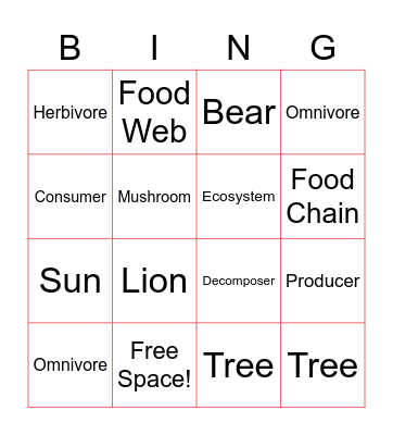 4.9AB Bingo Card