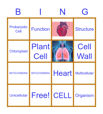 The Cell and Structure/Function Bingo Card