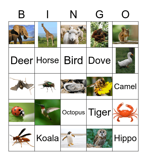 Animals Bingo Card