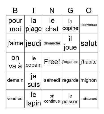 Bron A en B chap 1 Bingo Card